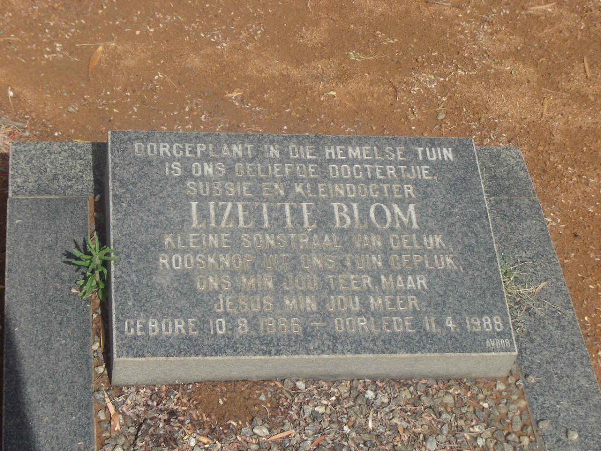 BLOM Lizette
