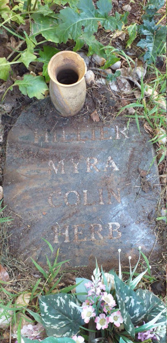 HILLIER Myra, Colin, Herb