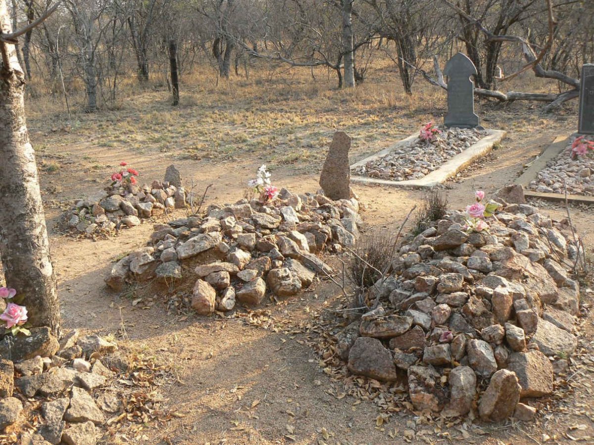 4. Overview