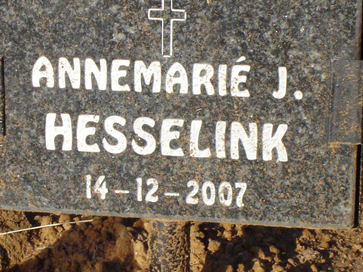 HESSELINK Annemarie J. -2007