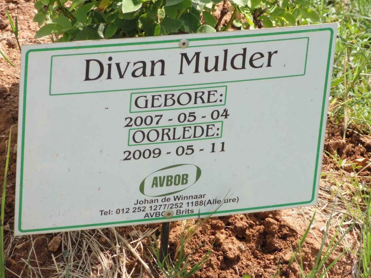 MULDER Divan 2007-2009