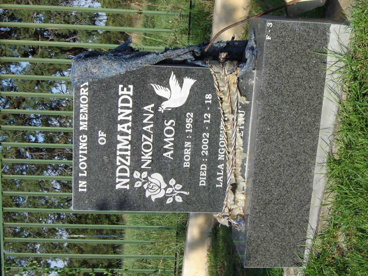NDZIMANDE Nkozana Amos 1952-2002