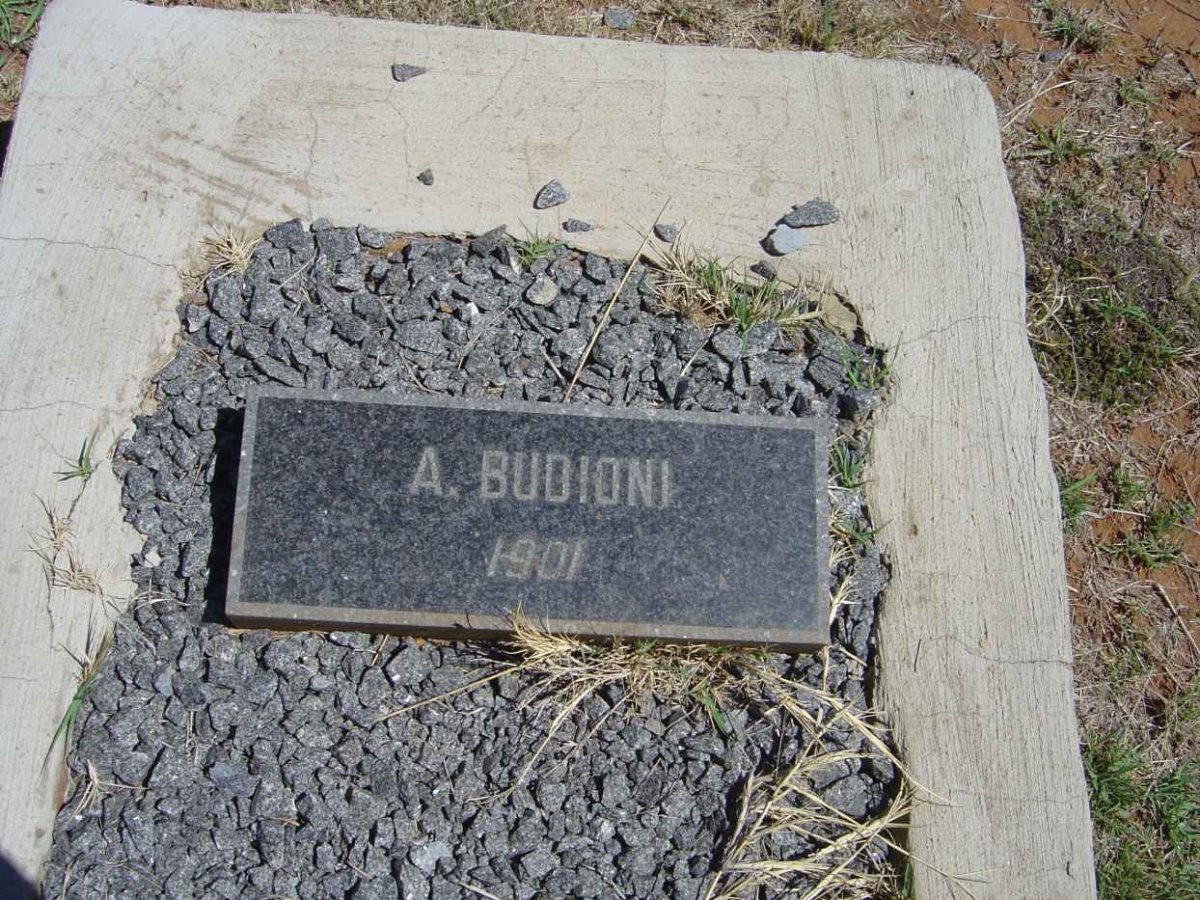BUDIONI A. -1901
