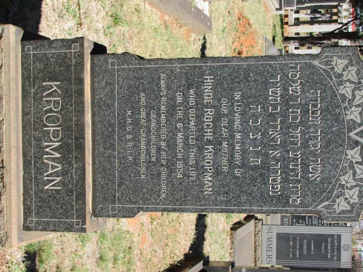 KROPMAN Hinde Roche -1954