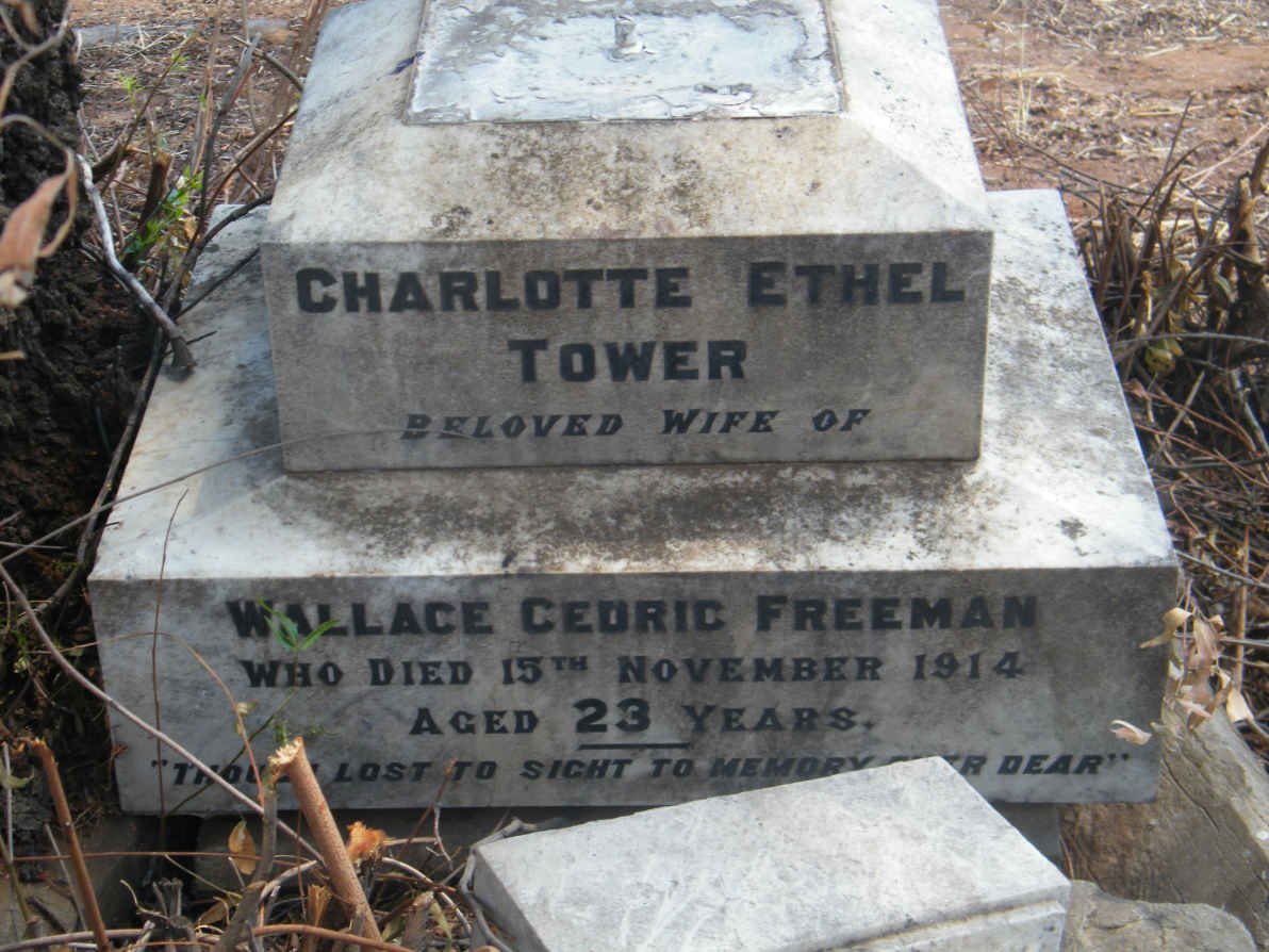 FREEMAN Charlotte Ethel Tower -1914