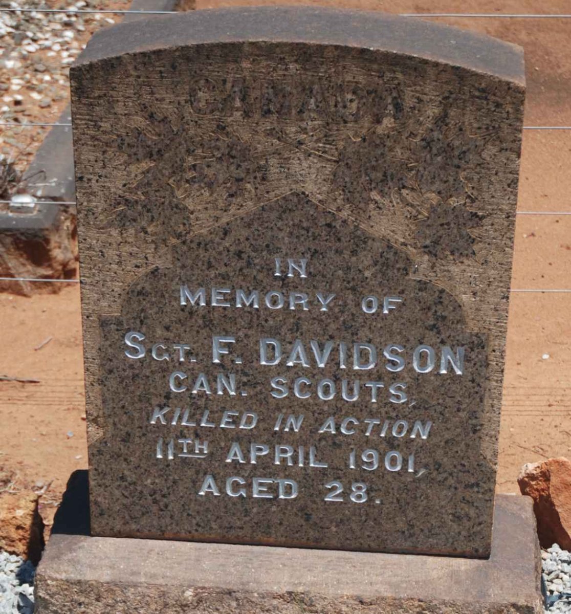 DAVIDSON F. -1901
