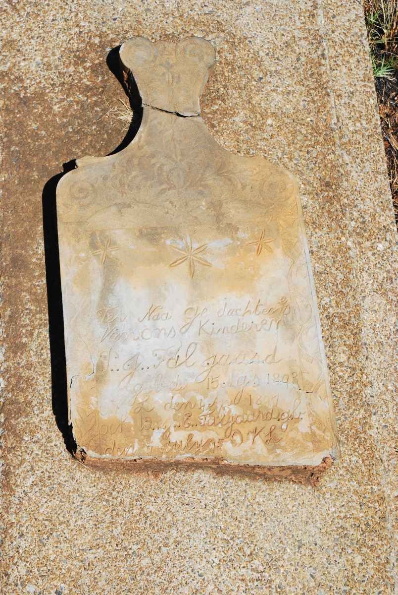 TALJAARD P.J. 1893-1897 :: TALJAARD Jock W.J.E. 1895-