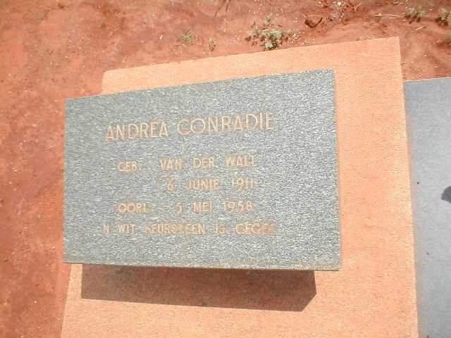CONRADIE Andrea nee VAN DER WALT  1911-1958