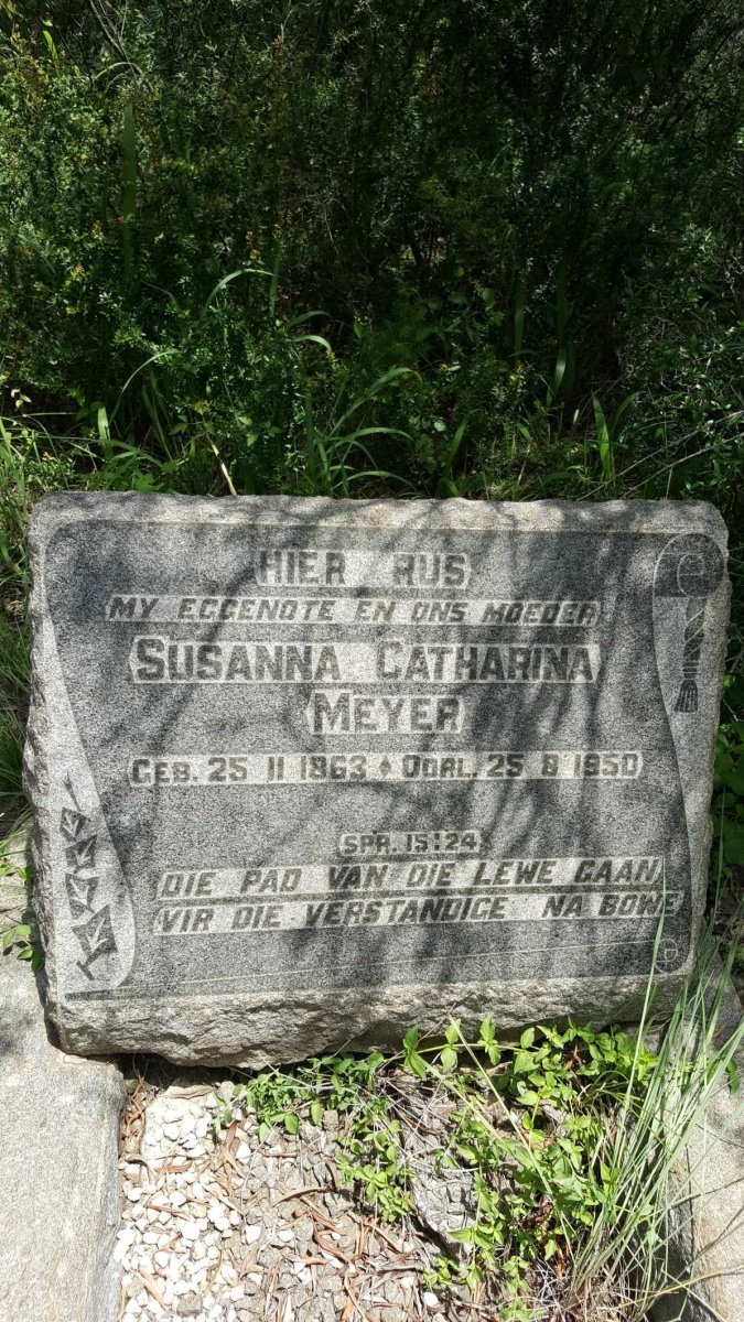 MEYER Susanna Catharina 1863-1950