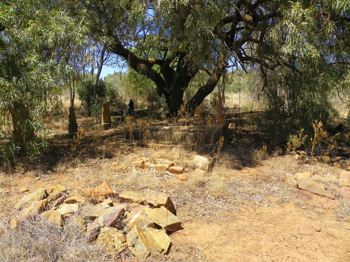 3. Overview