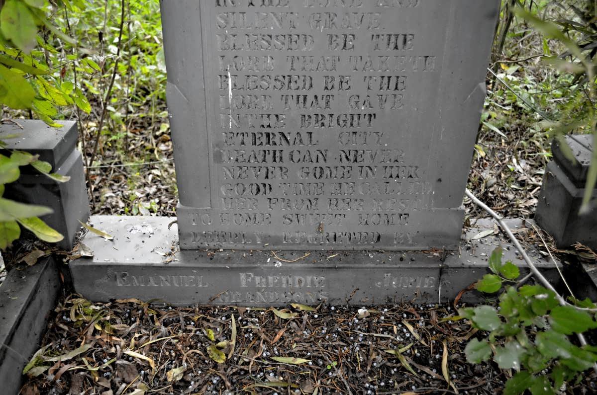 POHL E.P. nee FERREIRA 1856-1937