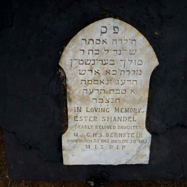 SHANDEL Ester 1913-1913