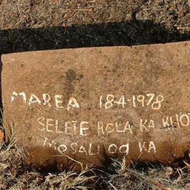 SELETE Marea -1978