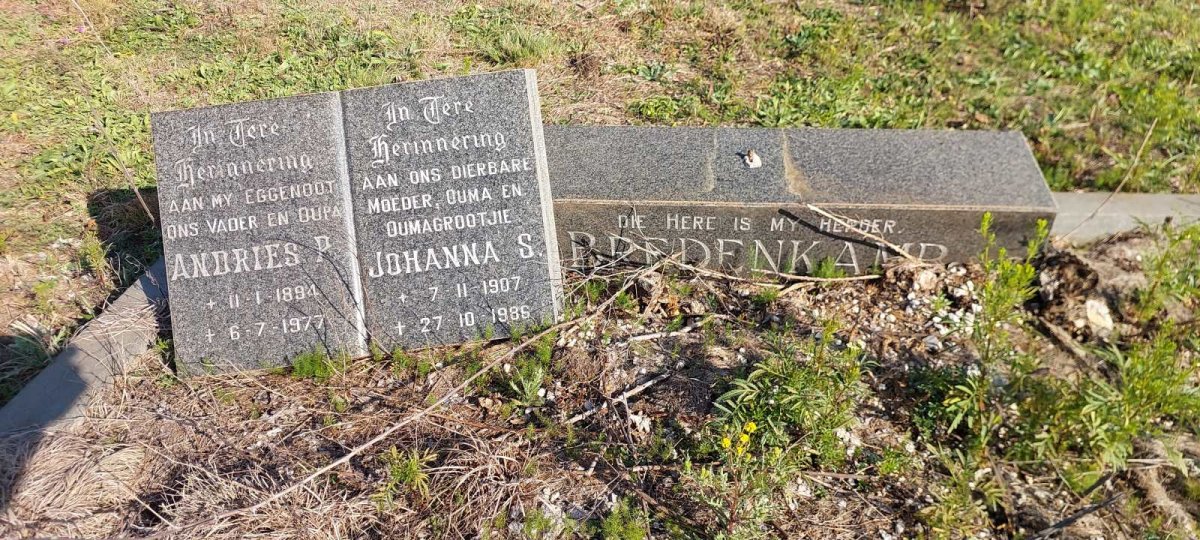 BREDENKAMP Andries P. 1894-1977 & Johanna S. 1907-1986