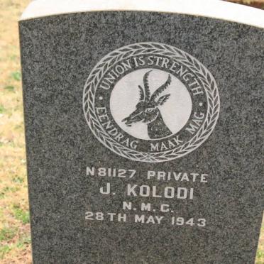 KOLODI J. -1943
