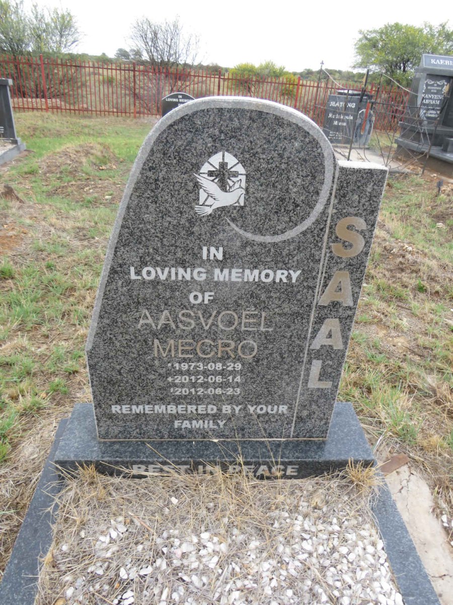 SAAL Aasvoel Mecro 1973-2012