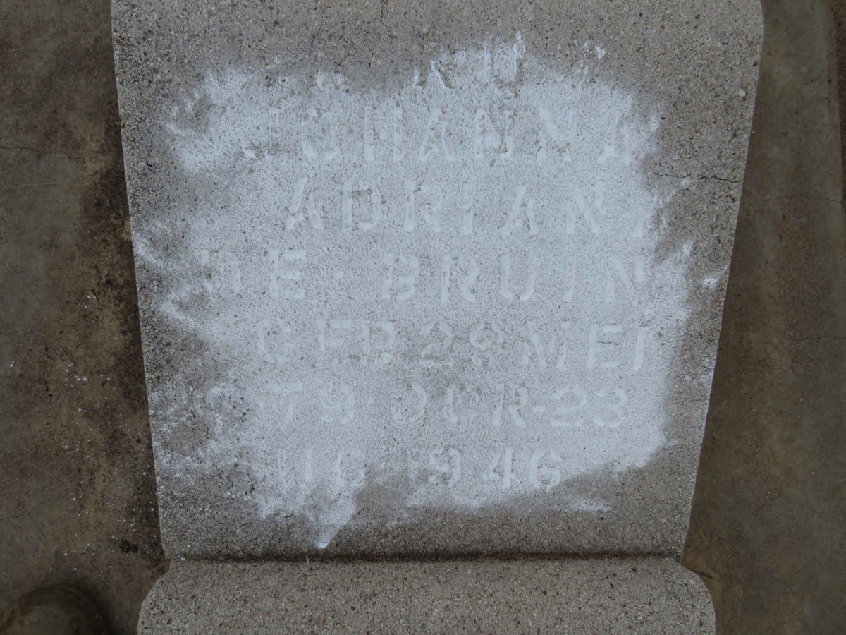 BRUIN Johanna Adriana, de 1879-1946