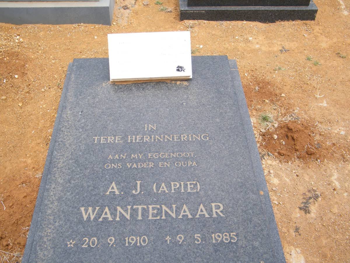 WANTENAAR A.J. 1910-1985