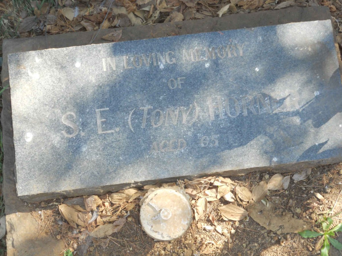 HORNER S.E.
