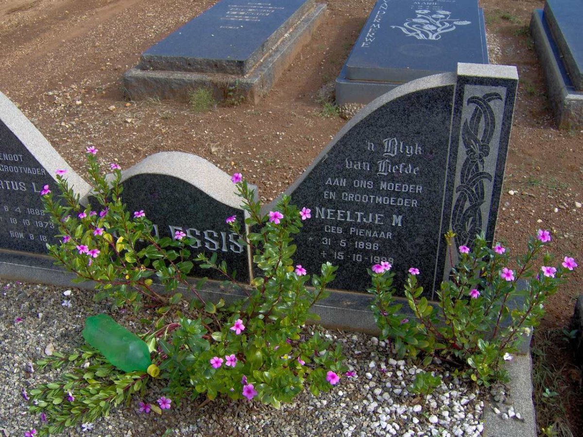 PLESSIS Neeltje M., du geb. PIENAAR  1898-1989