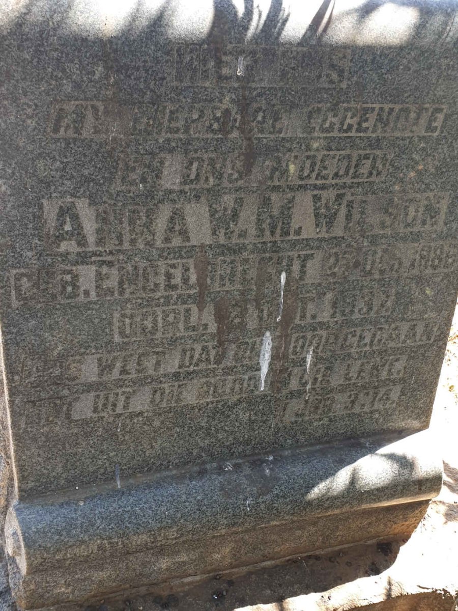 WILSON Anna W.M. nee ENGELBRECHT 1886-1937