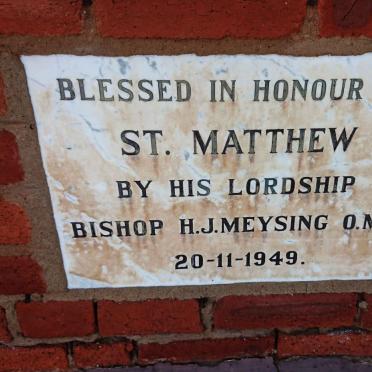 3. Plaque