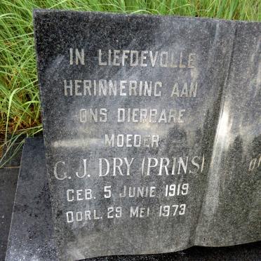 DRY G.J. nee PRINS 1919-1973 