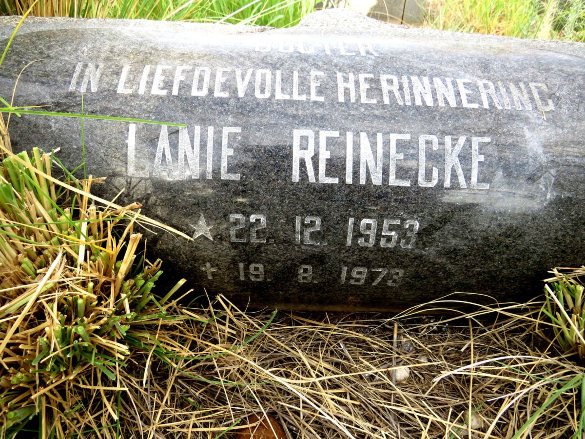 REINECKE Lanie 1953-1973