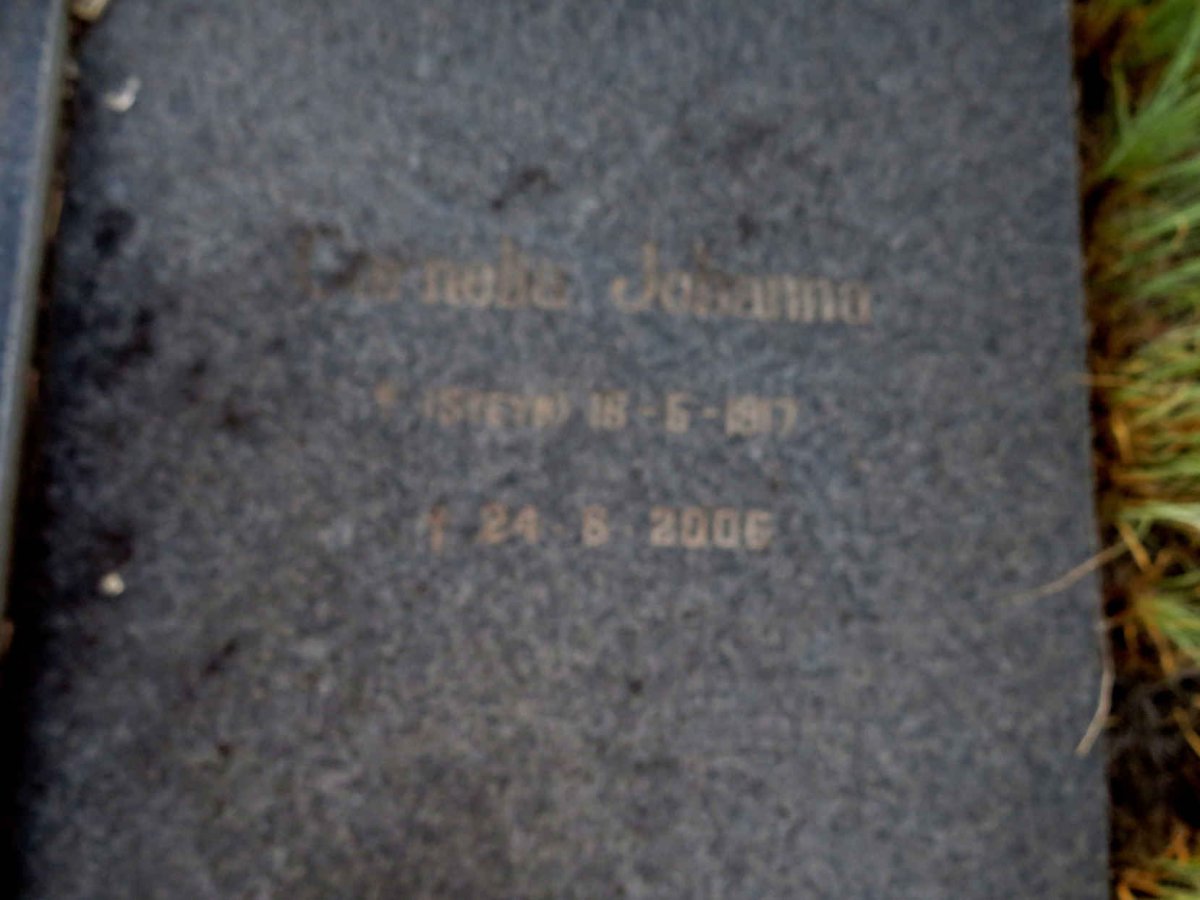STEYN Jacobus Johannes ?-? & ? Johanna STEYN 1917-2006_3