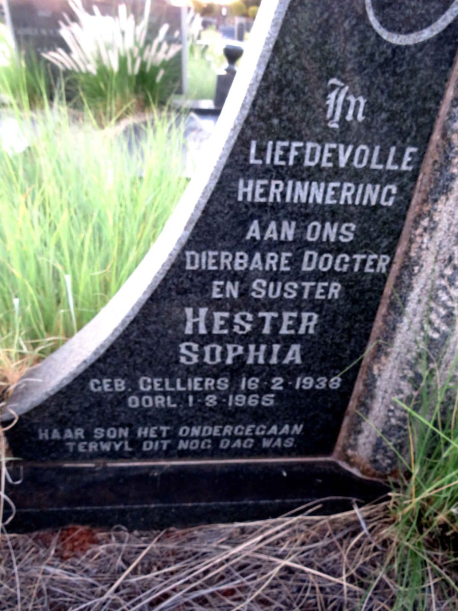 STEYN Johannes Hendrik 1936-1965 & Hester Sophia CELLIERS 1938-1965 :: STEYN Pieter Jacobus 1961-1965_3