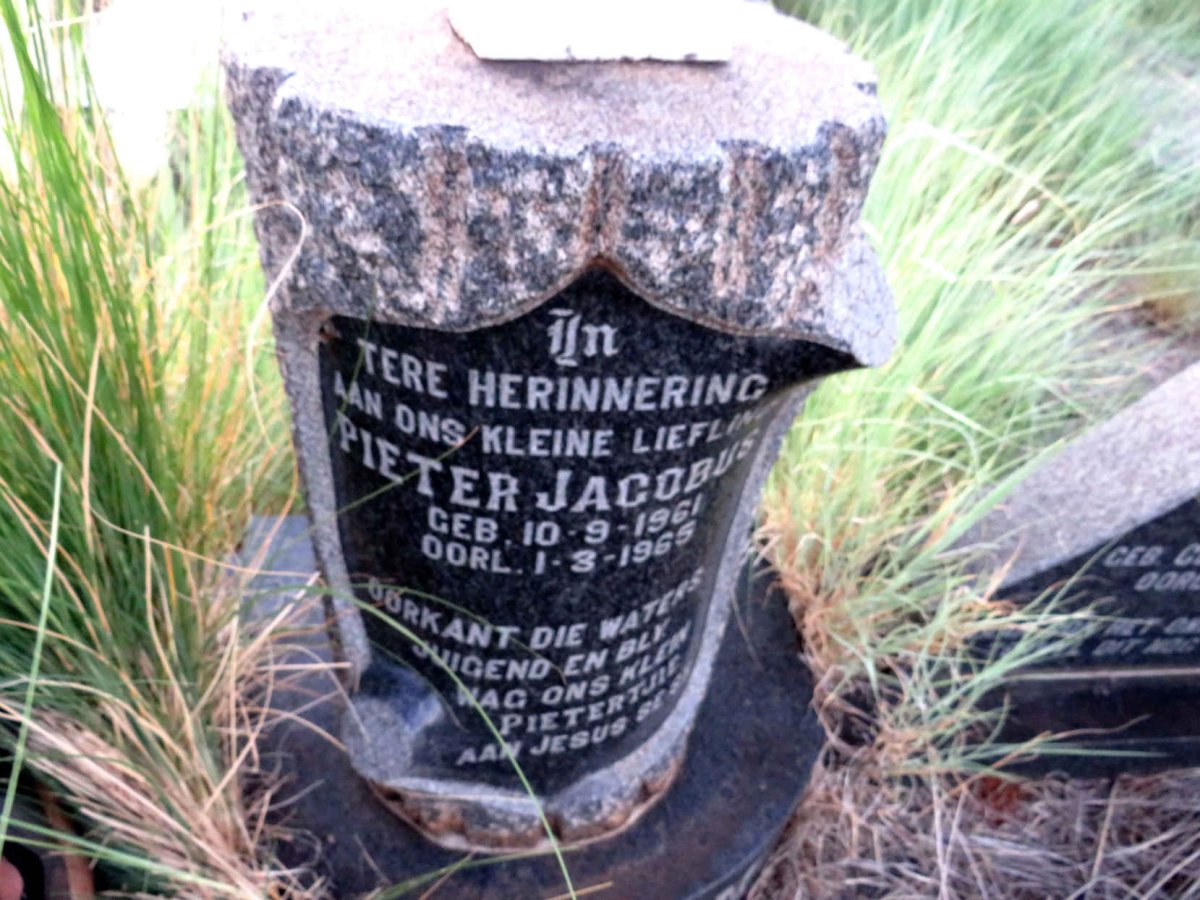STEYN Johannes Hendrik 1936-1965 & Hester Sophia CELLIERS 1938-1965 :: STEYN Pieter Jacobus 1961-1965_4