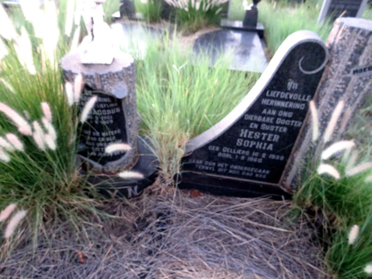 STEYN Johannes Hendrik 1936-1965 & Hester Sophia CELLIERS 1938-1965 :: STEYN Pieter Jacobus 1961-1965_1
