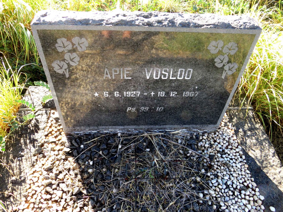 VOSLOO Apie 1927-1967