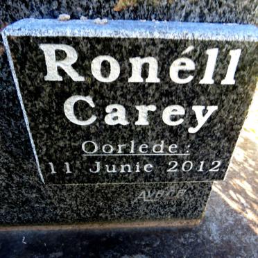 WATT Abel Hermanus, van der 1907-1989 :: CAREY Ronell -2012_2