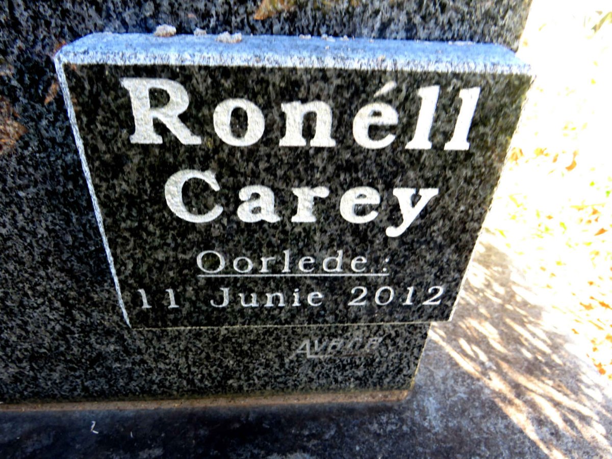 WATT Abel Hermanus, van der 1907-1989 :: CAREY Ronell -2012_2