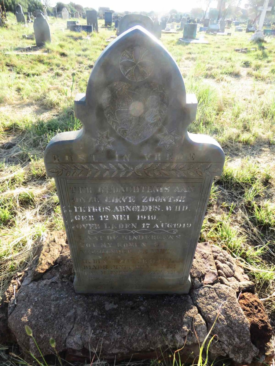 WIID Petrus Arnoldus 1919-1919