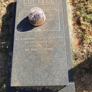 COETZEE ? 1975-1975