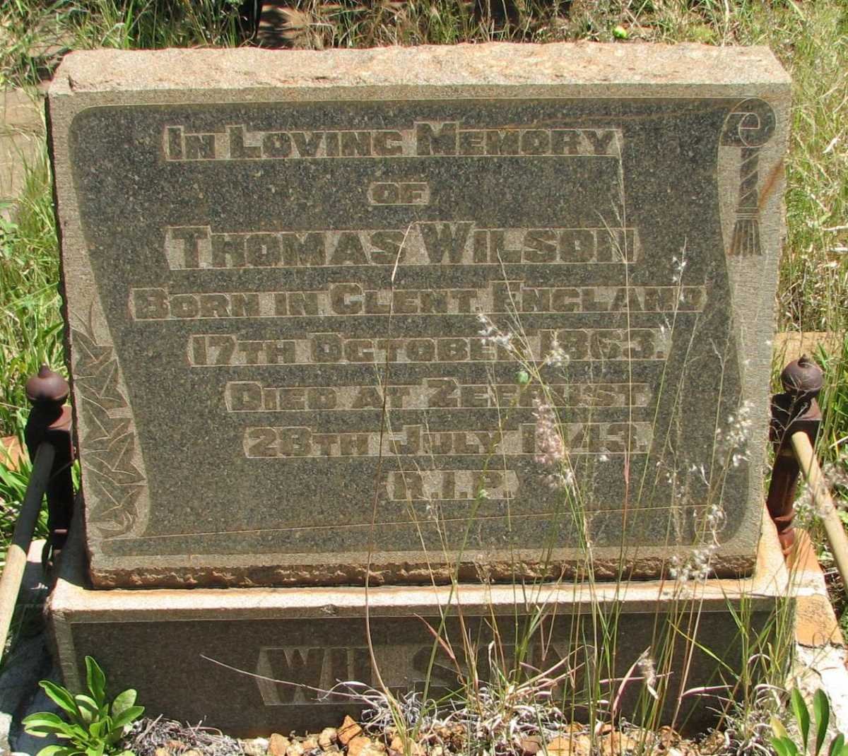WILSON Thomas 1863-1943