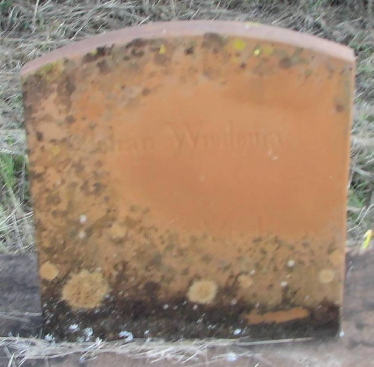 WIEDEN Johan
